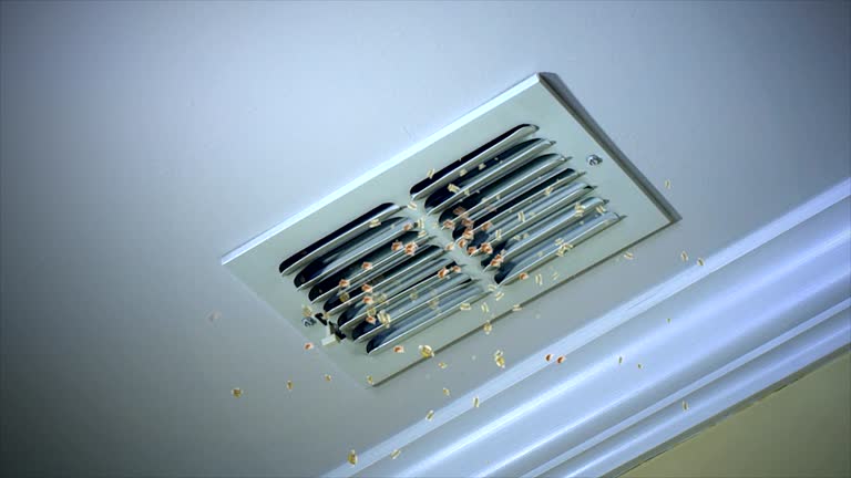 Best Residential Air Duct Cleaning  in Atkins, IA