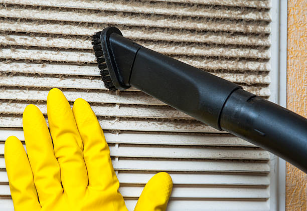 Best Dryer Vent Cleaning Services  in Atkins, IA